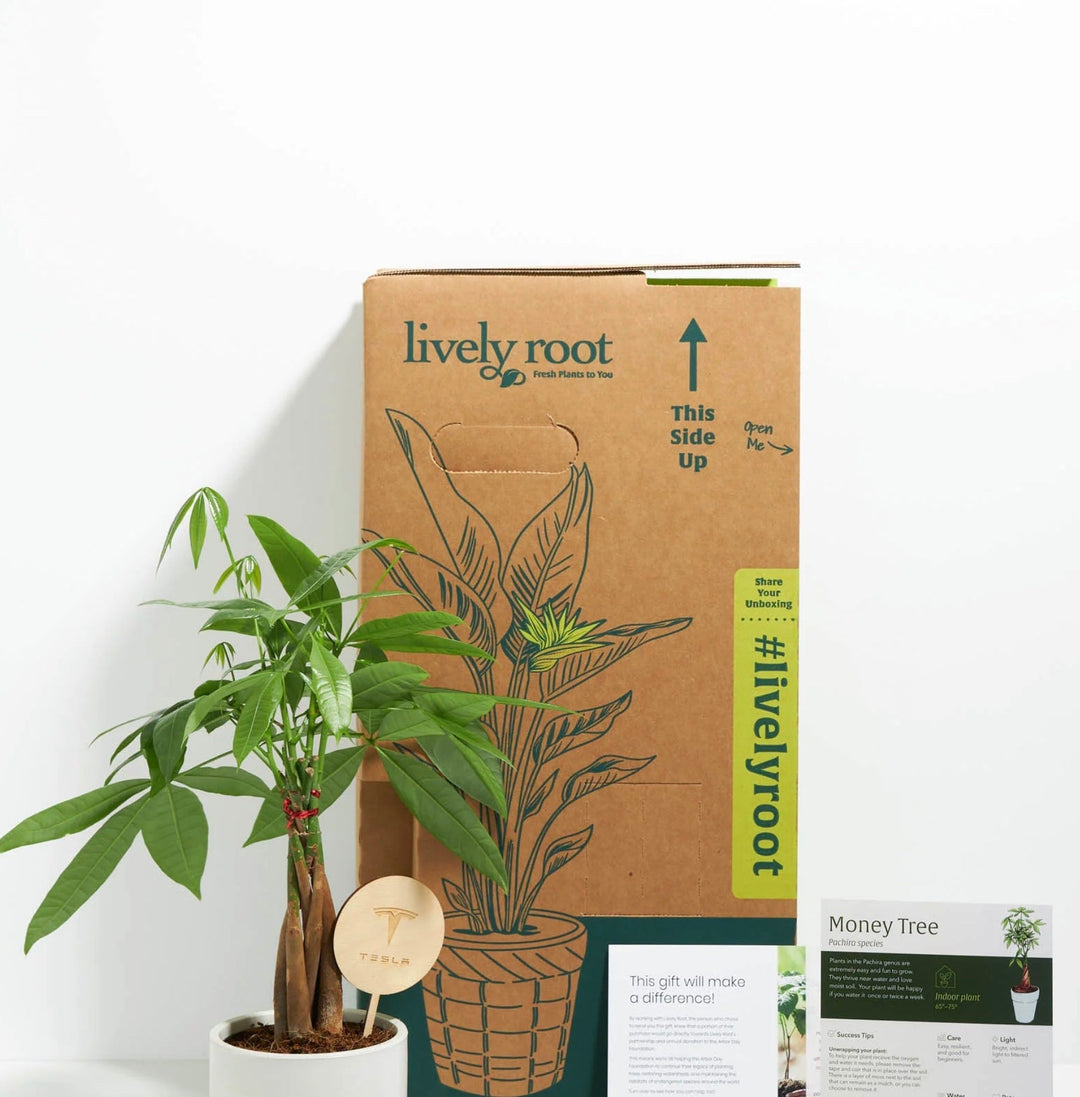 Sustainable Corporate Gifts