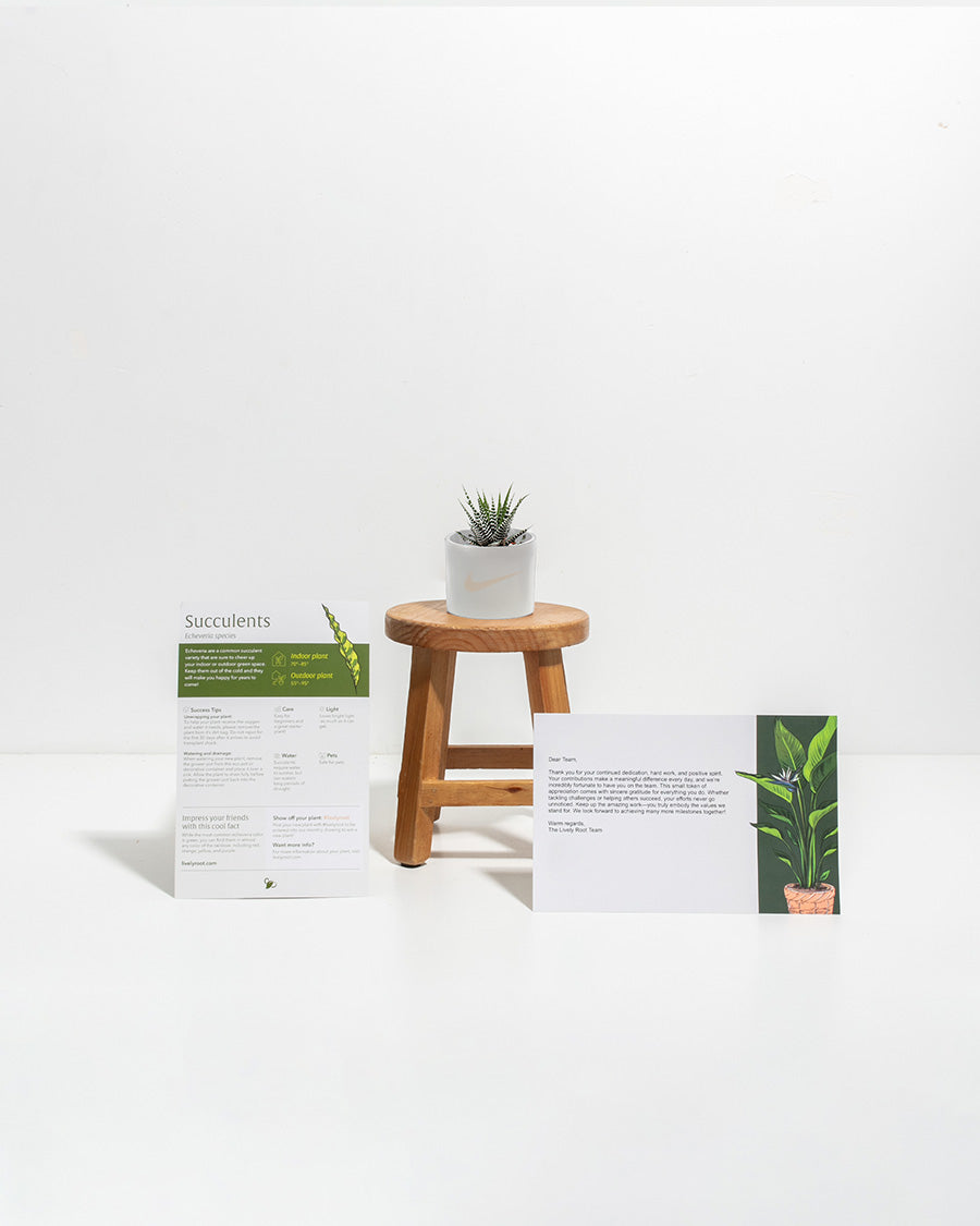 B2B Blog Test
