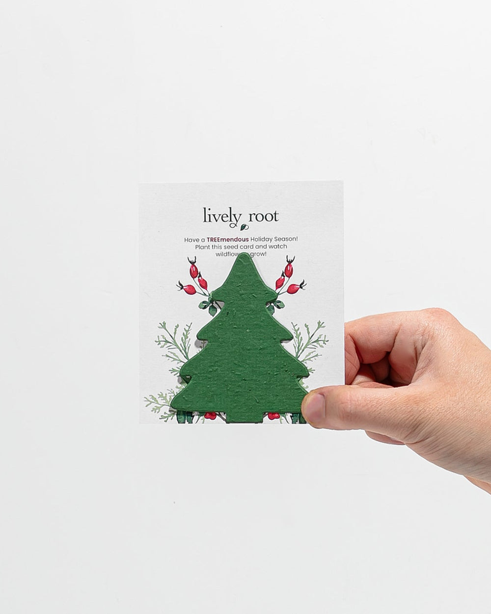 Wildflower Seed Paper Card