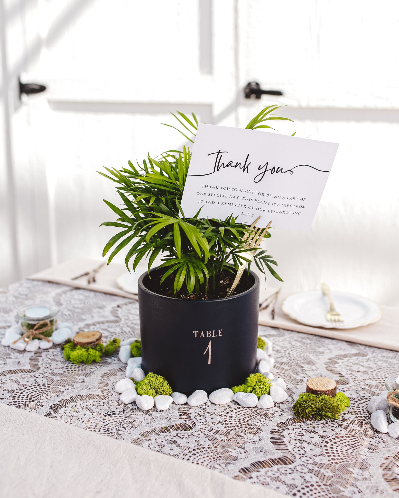 Attendee Gift Bundle - Special Event Bundle Image