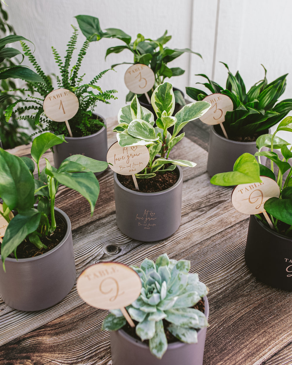 Attendee Gift Bundle