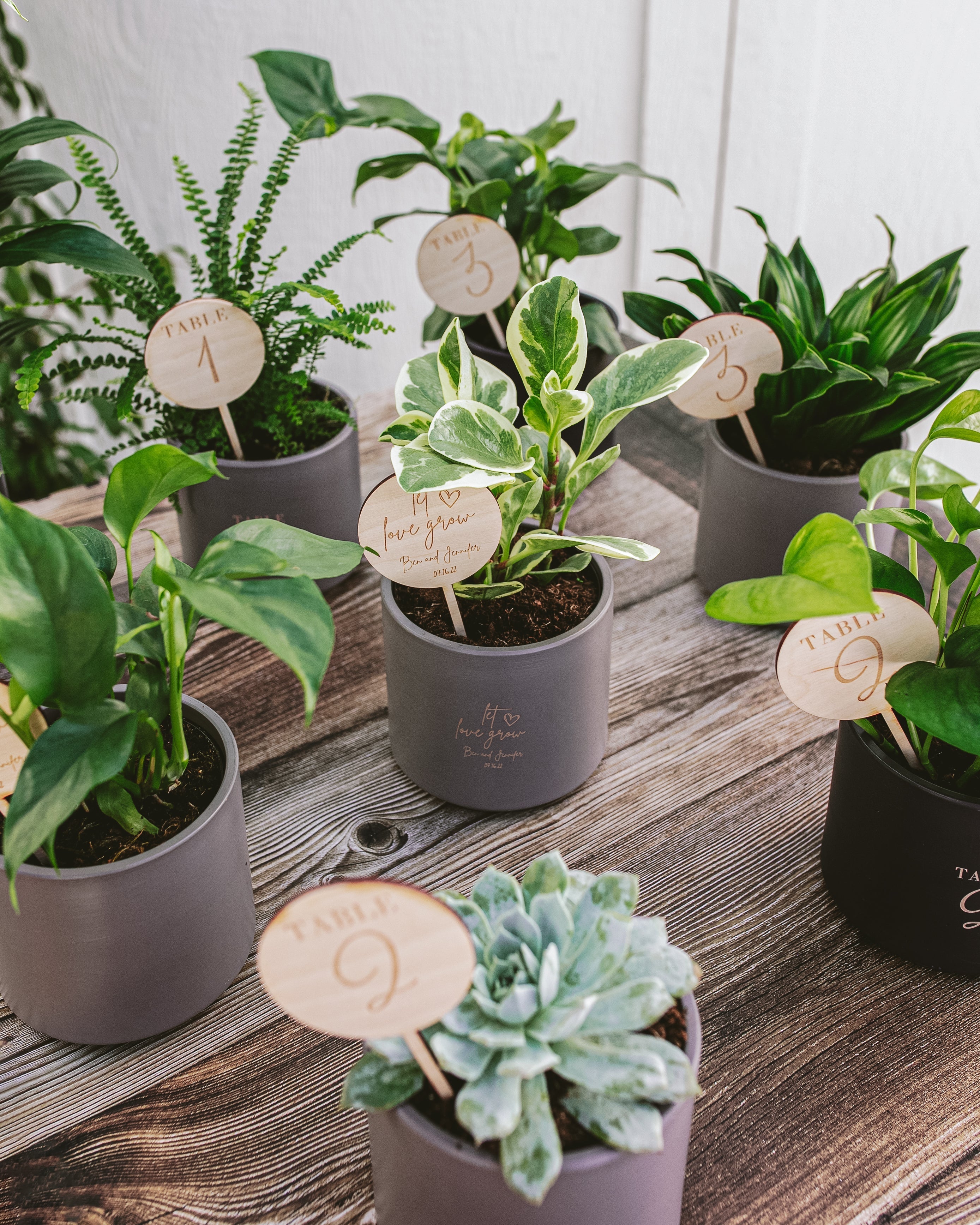 Small Attendee Gift Bundle: Version 2