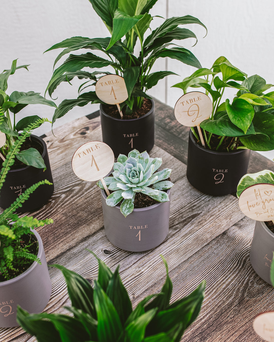 Attendee Gift Bundle