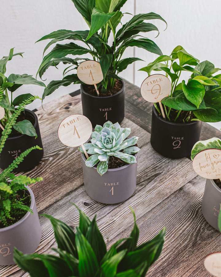 Attendee Gift Bundle