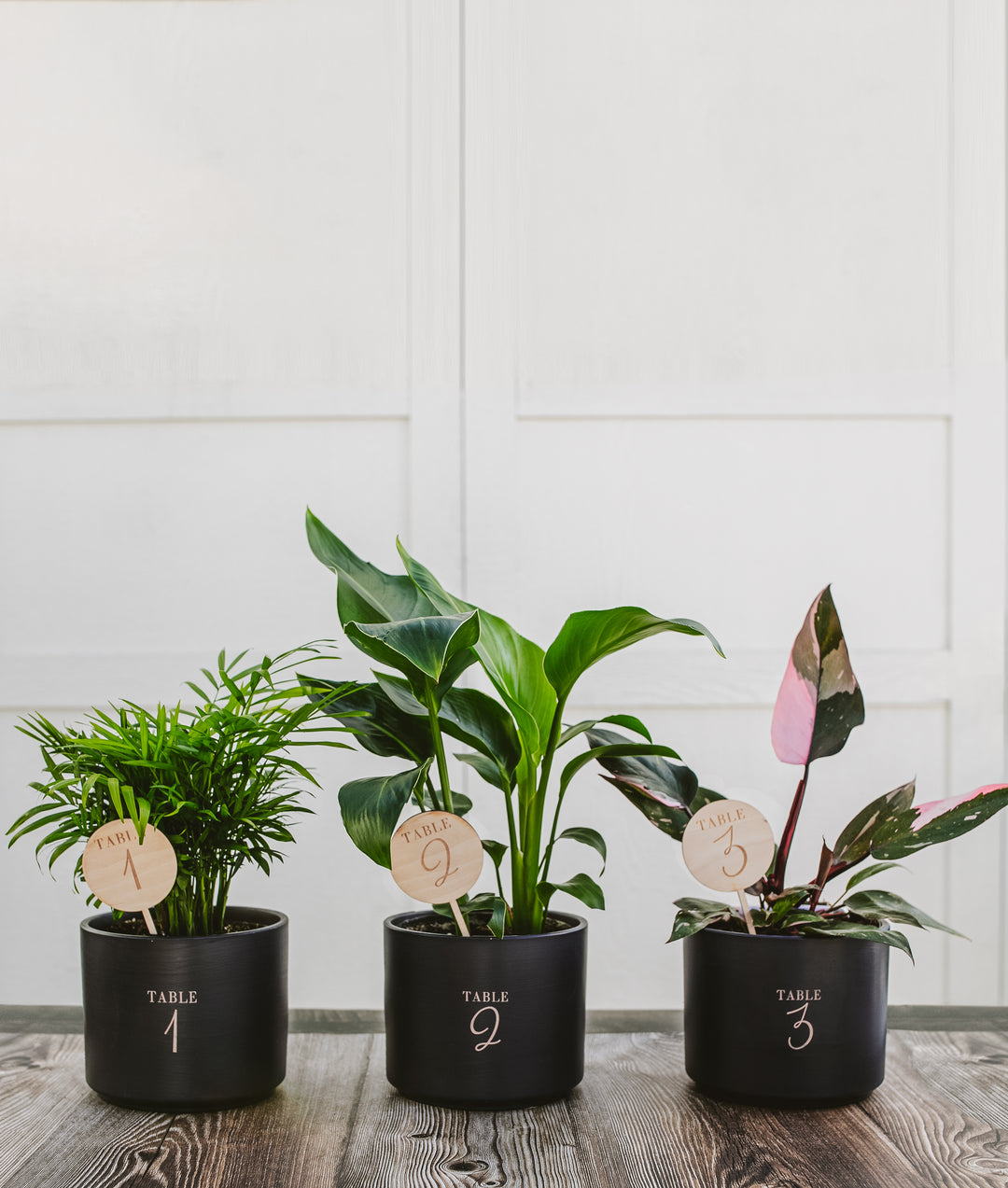 Attendee Gift Bundle