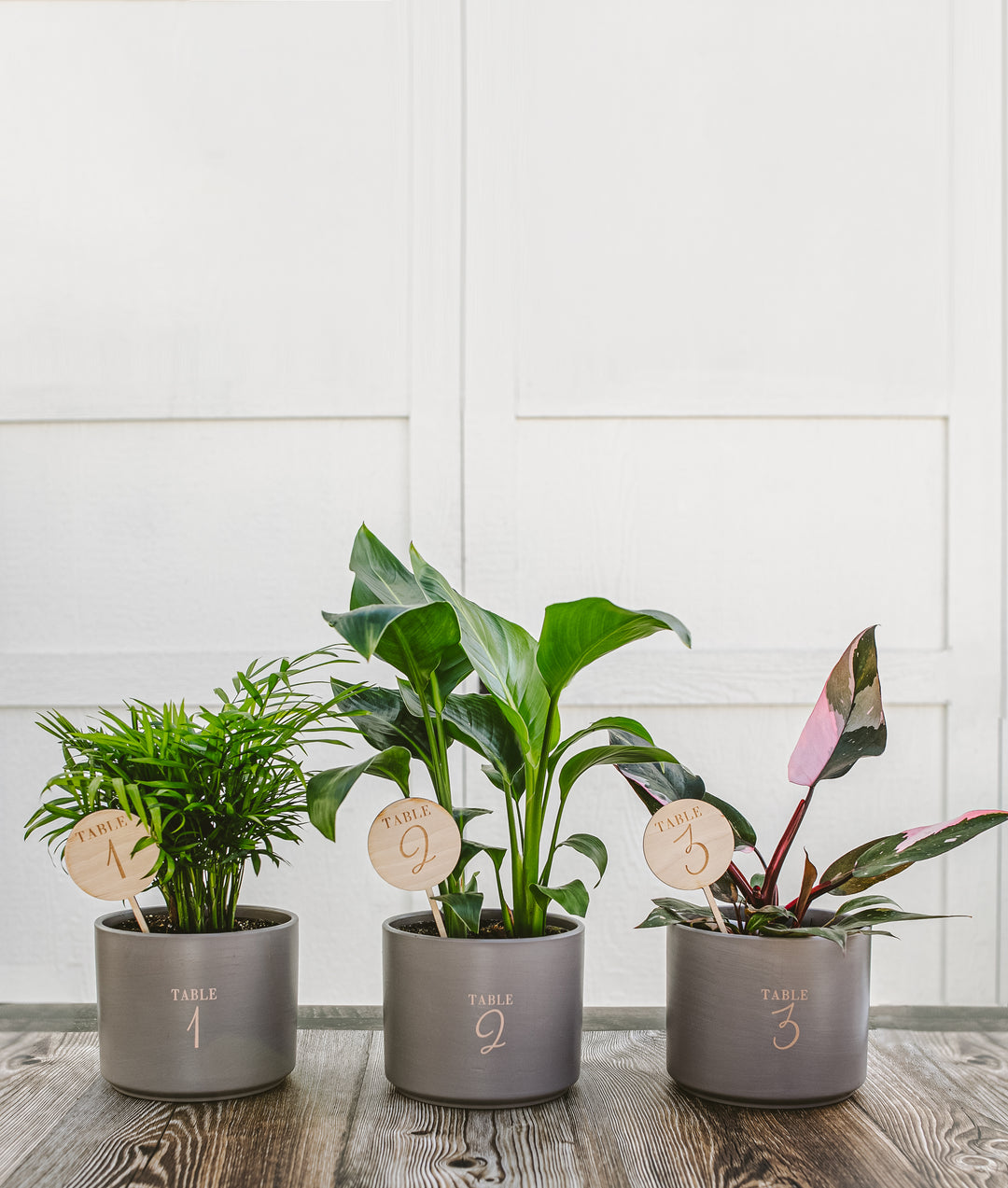 Attendee Gift Bundle