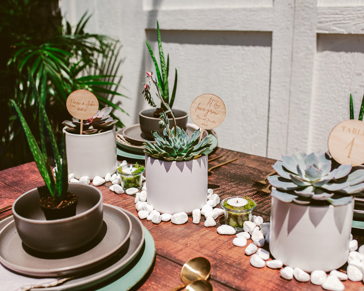 Centerpiece Bundle