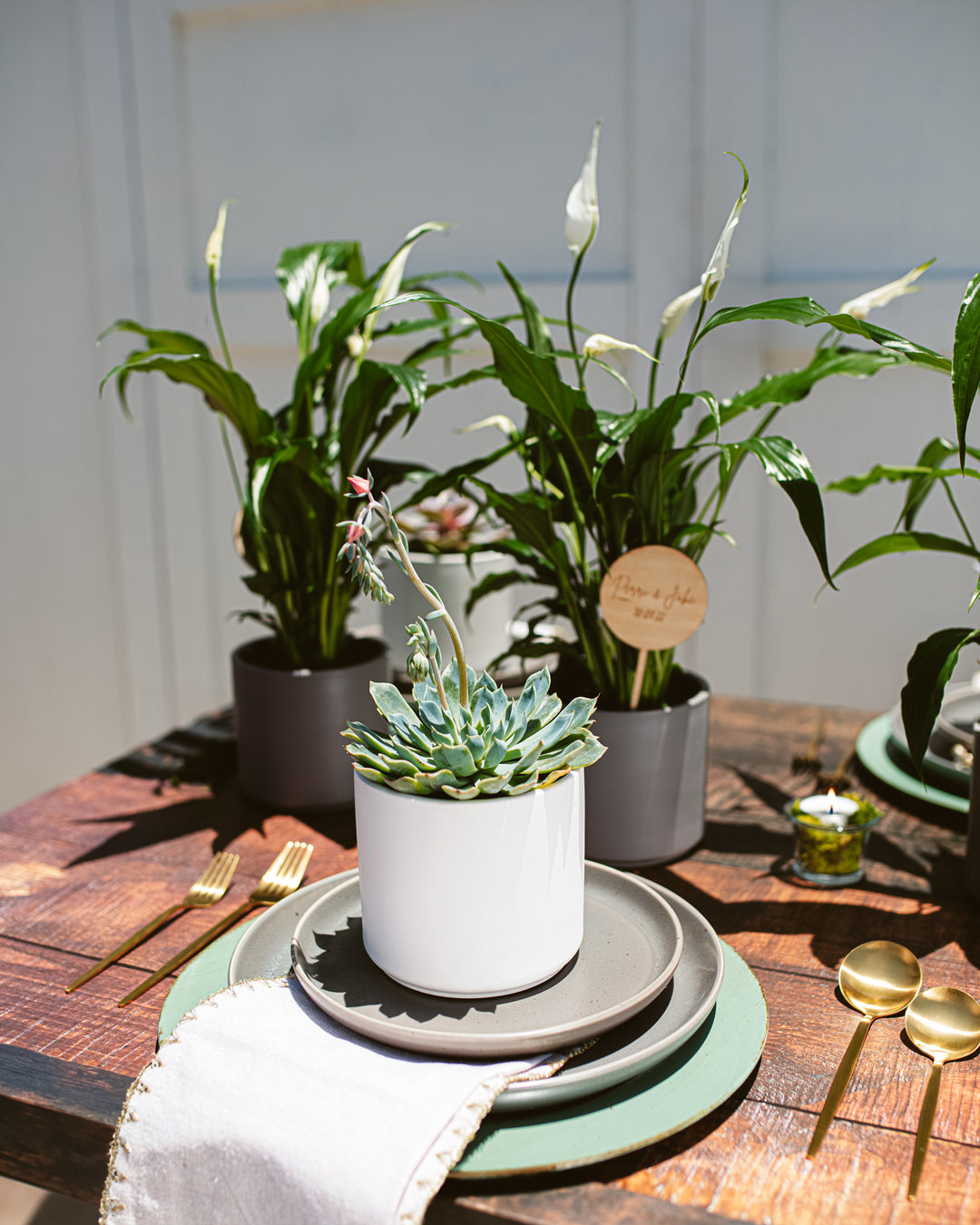 Place Setting Bundle