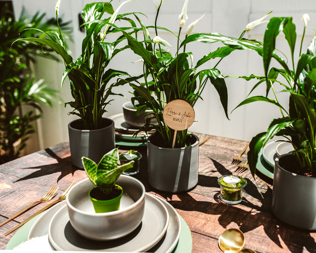 Place Setting Bundle