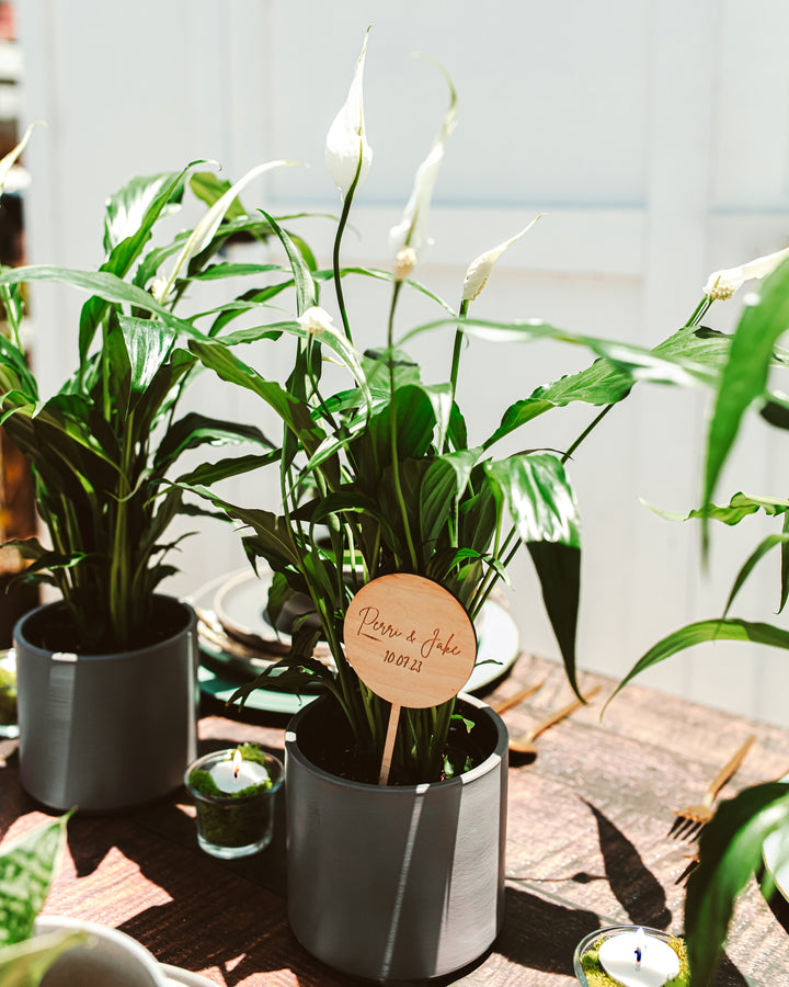 Centerpiece Bundle