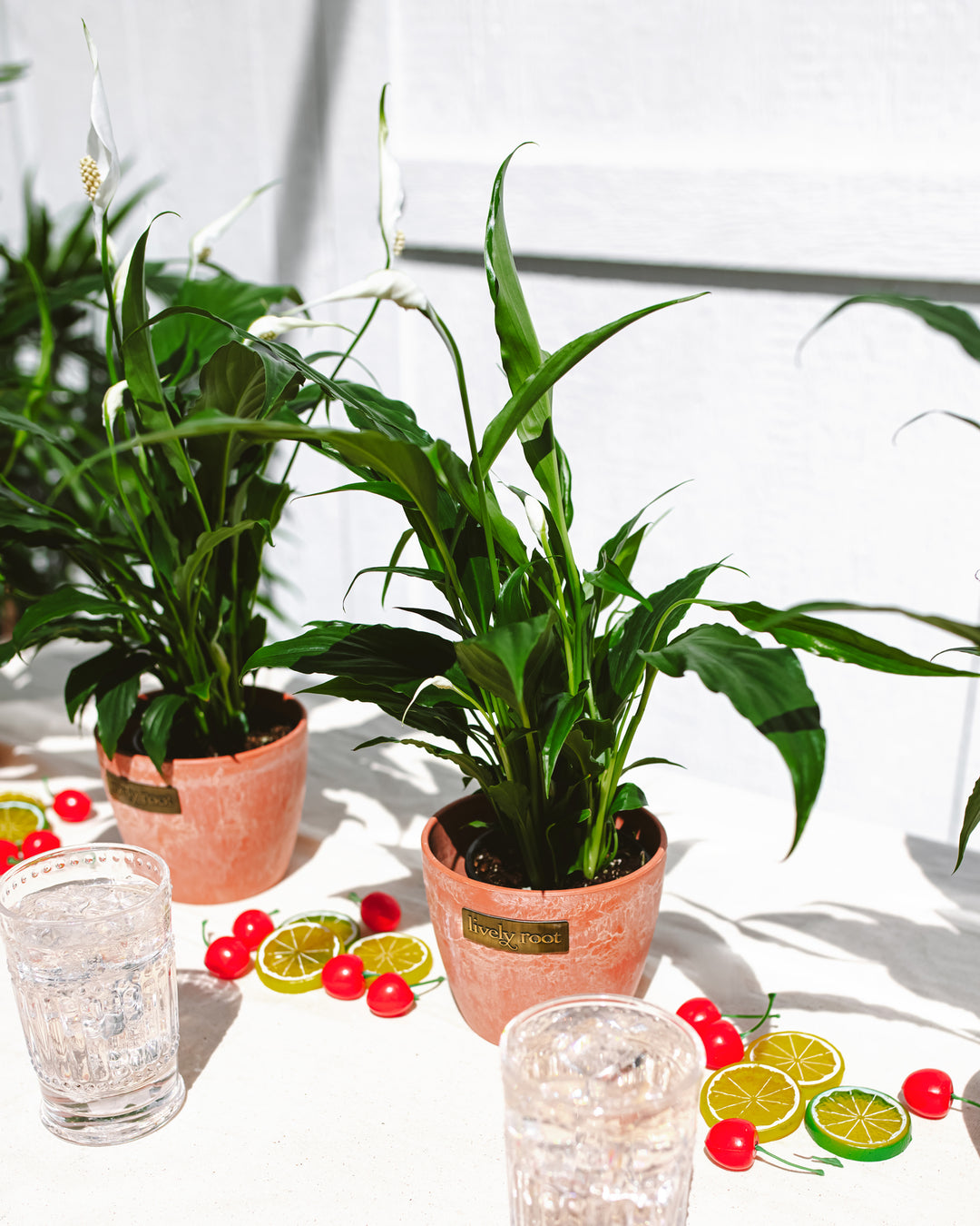 Centerpiece Bundle