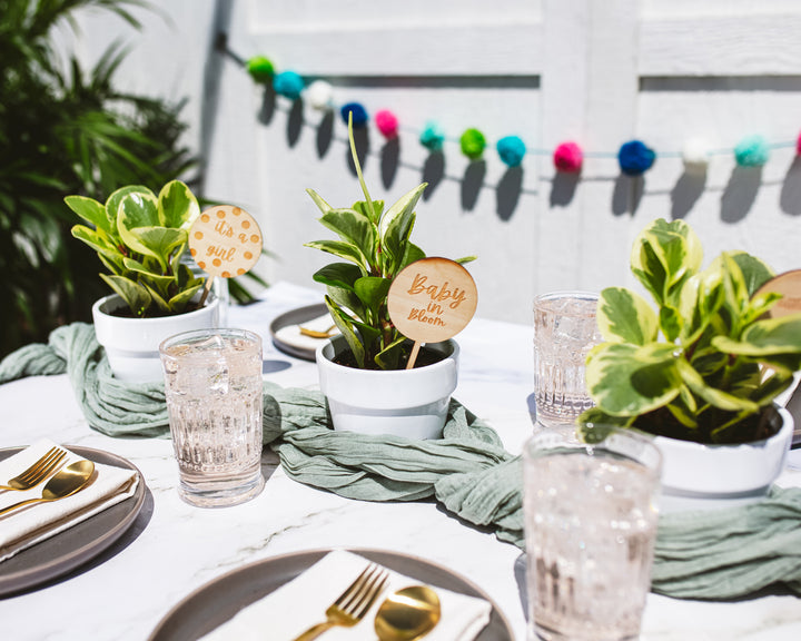 Place Setting Bundle