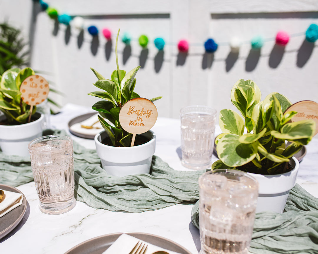 Centerpiece Bundle