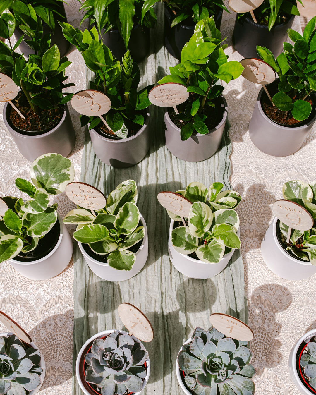 Centerpiece Bundle
