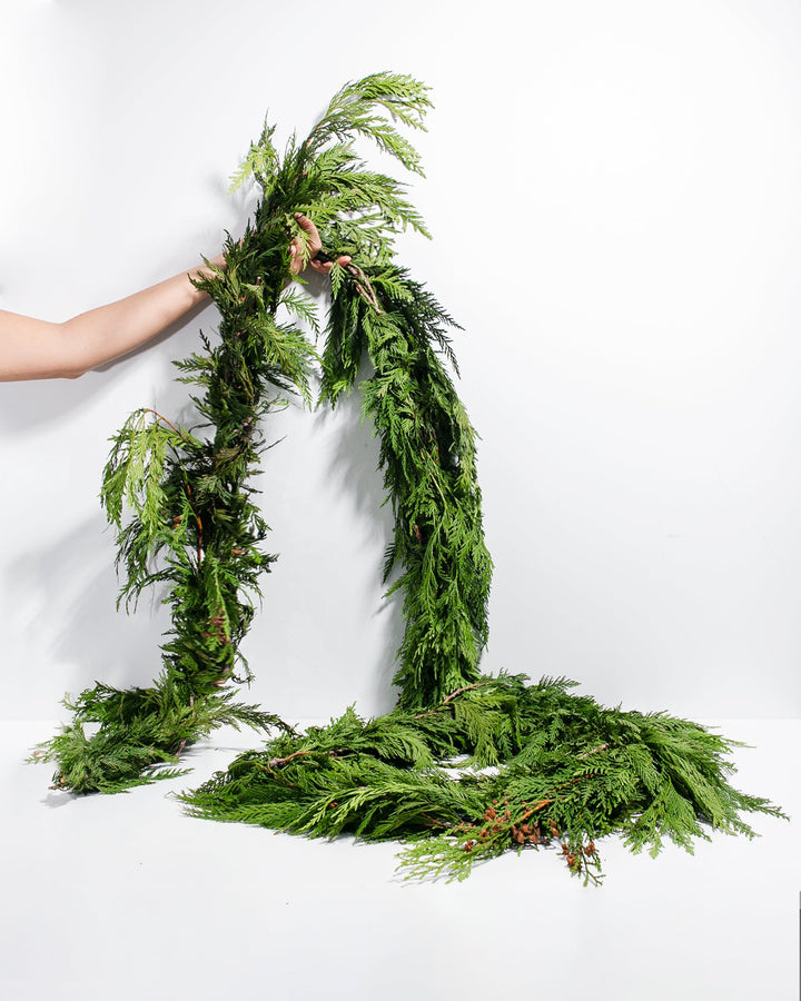 12' Fresh Live & Fragrant Incense Cedar Garland