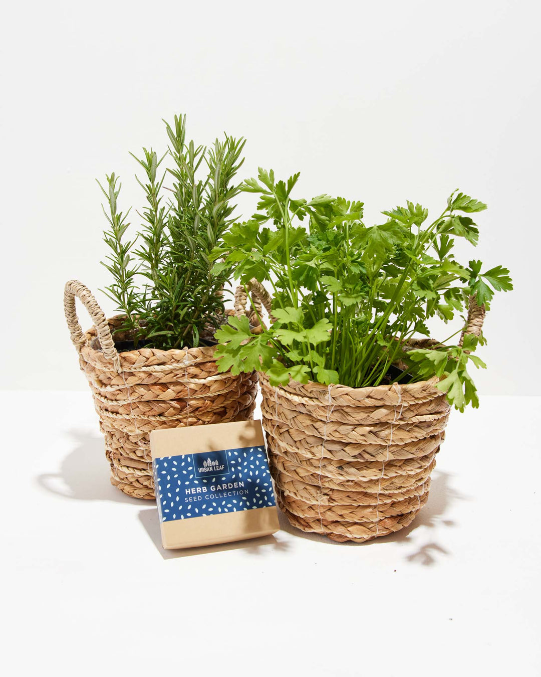 Culinary Herb Seed Kit