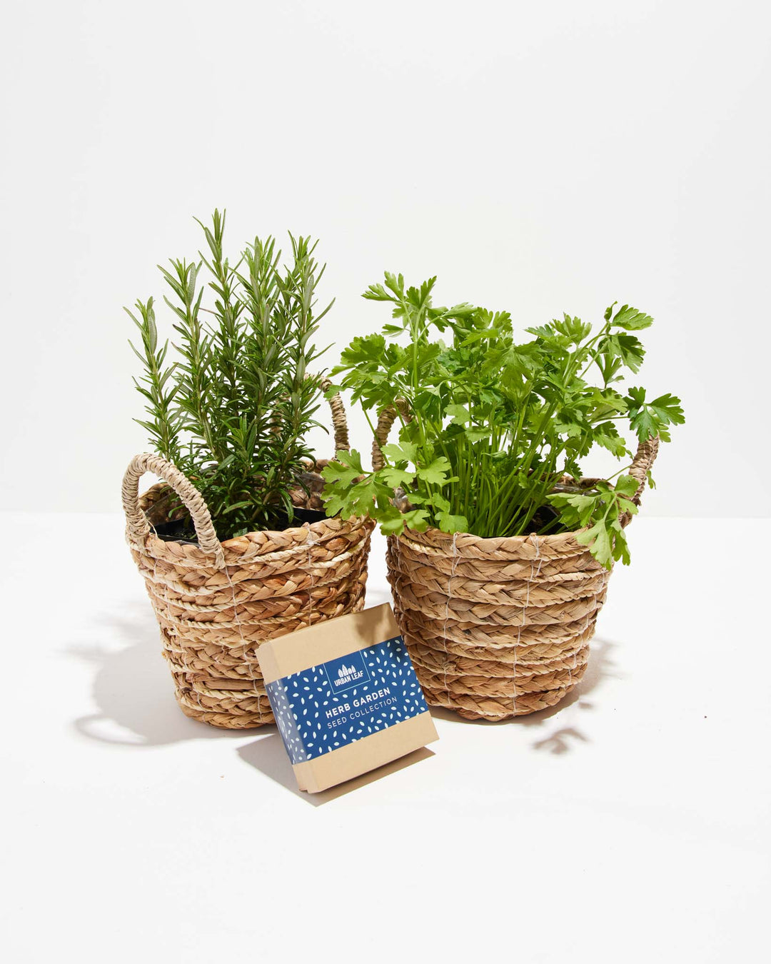 Culinary Herb Seed Kit