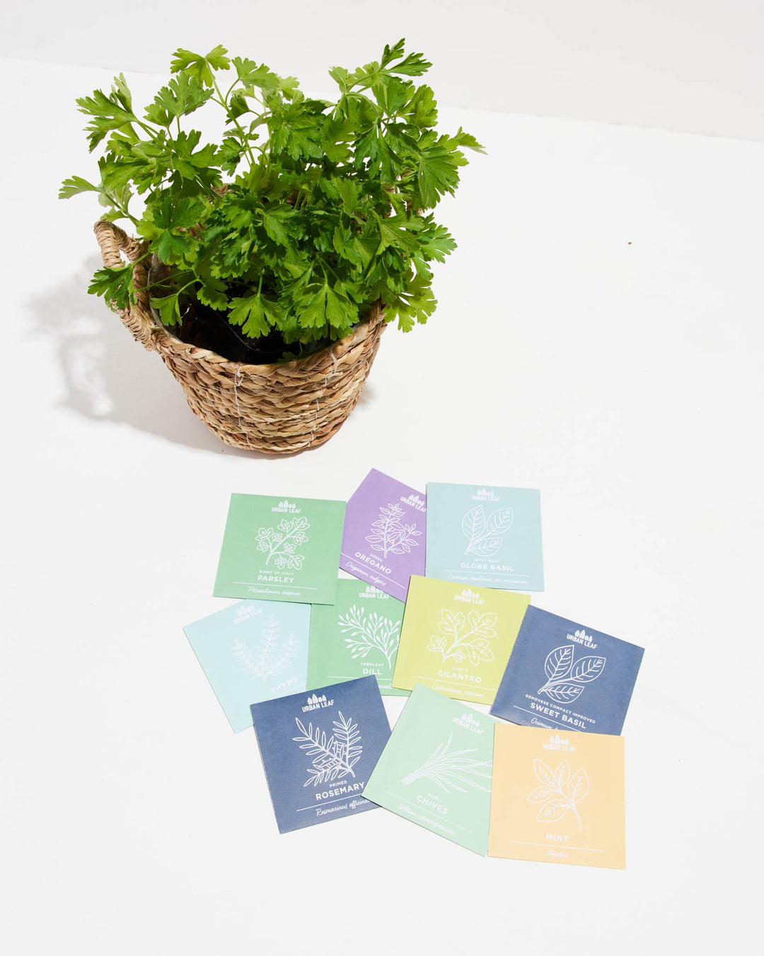 Culinary Herb Seed Kit