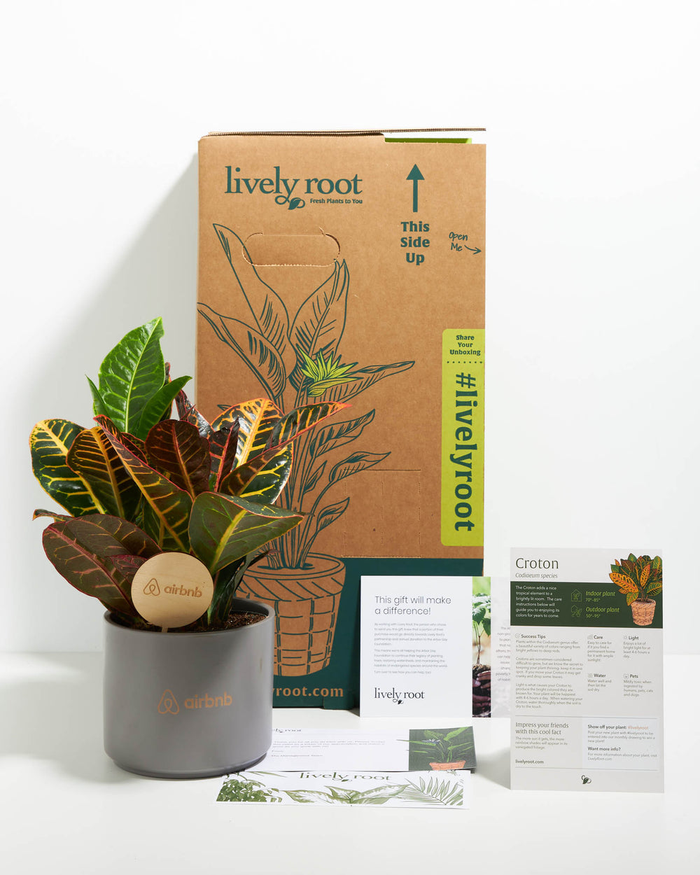 Plant kit, Medium, Grey, 