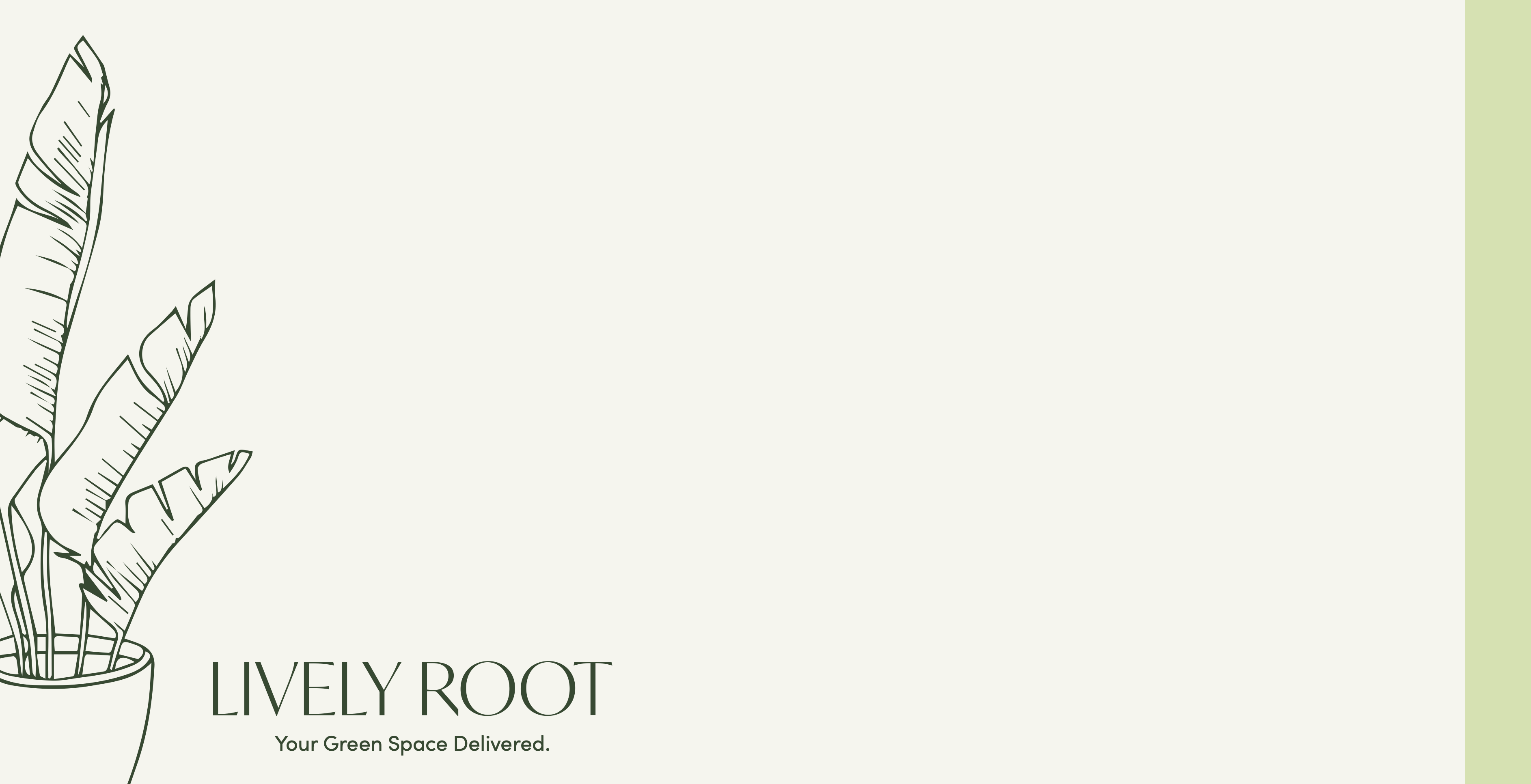 Lively Root Gift Message Card